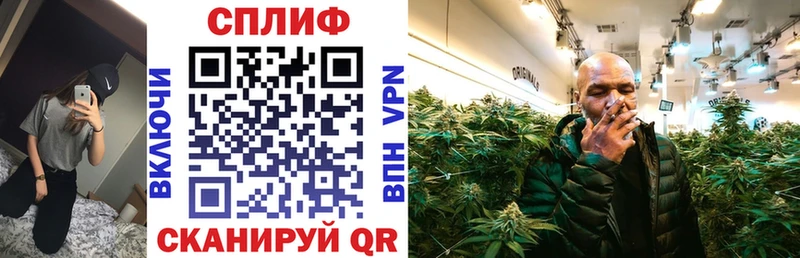 Купить  Микунь  Каннабис Amnesia 